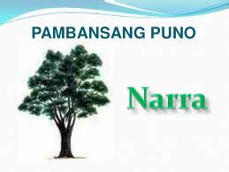 ano ang pambansang puno ng pilipinas|Pamahalaan ng Pilipinas .